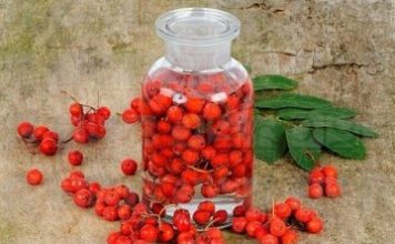 Рябиновая настойка