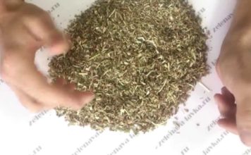 Настойка пустырника