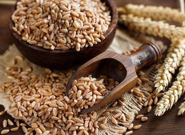 Рецепт приготовления браги на пшенице