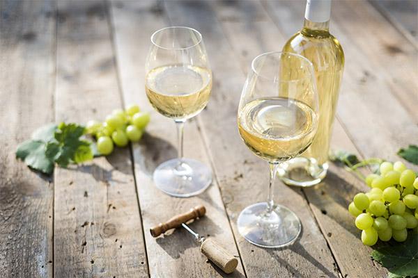 С чем пьют вино - что подходит для красного и белого вина